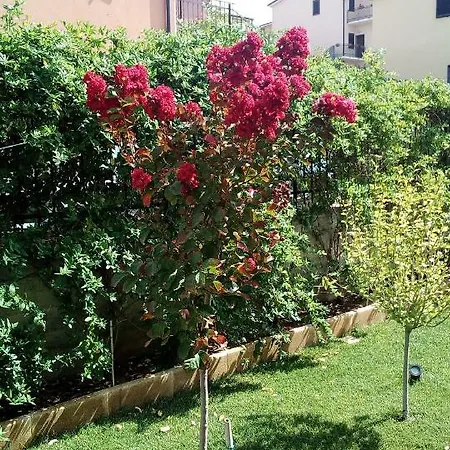 Panoramica Adrano